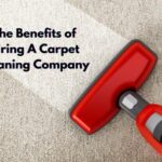 The Benefits of Hiring A Carpet Cleaning Company