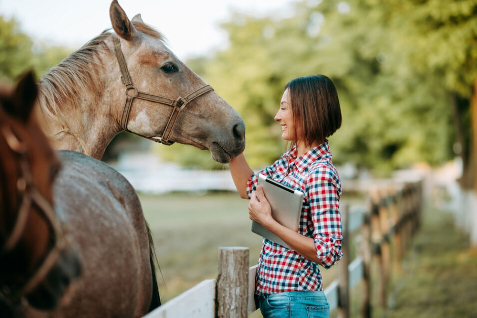 Equestrian Marketing Evolution: Top Trends Redefining the Landscape
