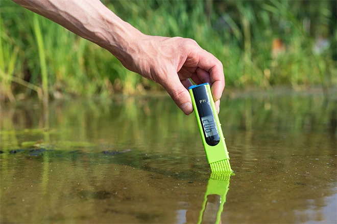 Fish Pond Water Testing