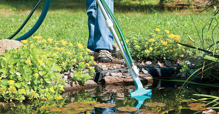 Spring pond cleaning